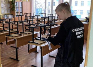 Семья пятиклассницы из Химок подала иск на 20 млн рублей к напавшей на нее однокласснице и к школе